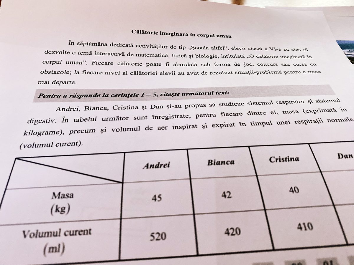 Evaluarea Naţională Clasa A VI-a, 2020. Modele Noi De Teste Pentru ...